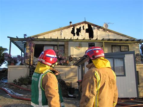 Firefighters Saved Pups From Blaze Otago Daily Times Online News