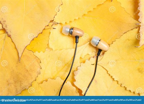 Headphones On Yellow Fallen Leaves Top Viewmusic Autumn Time Stock