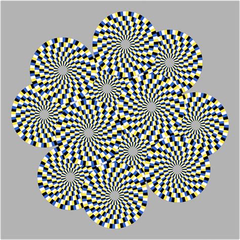 Optical Illusions Explained In A Flys Eyes Eurekalert