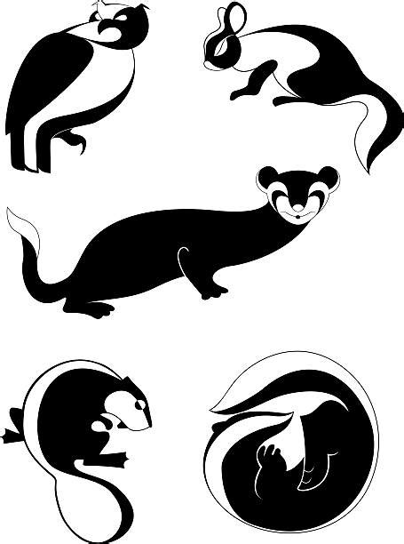 Weasel Pic Silhouette Illustrations Royalty Free Vector Graphics