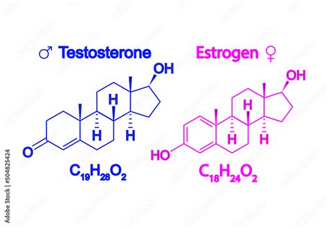 Stockvector Humain Sex Hormones Molecular Formula Estrogen And Testosterone Symbole Chemical