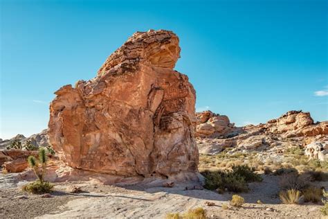 Gold Butte National Monument