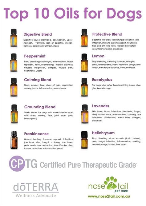 Top Oils For Dogs Are Essential Oils Safe Essential Oils Dogs