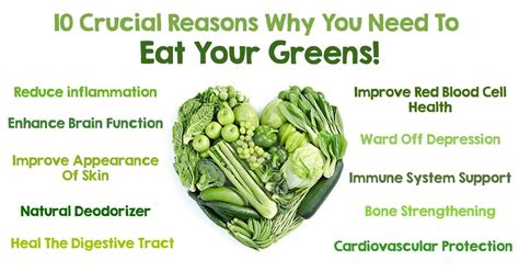 10 Incredible Benefits Of Getting More Greens In Your Diet Nutrition