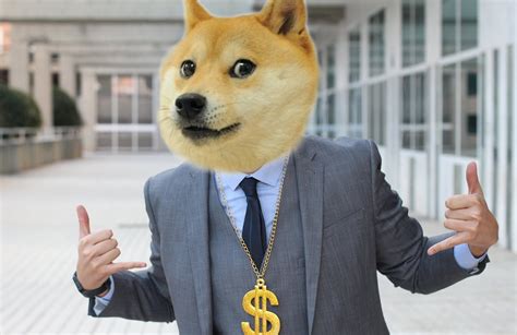 Elon Musk Puts The Dogecoin Symbol In His Twitter Profile Bitcoinik