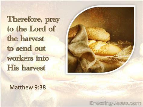 Matthew 938 Pray That He Will Send Forth Labourers Into His Harvest