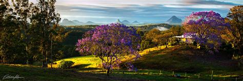 Godly Glasshouse Australian Landscape Photography By Edan Raw