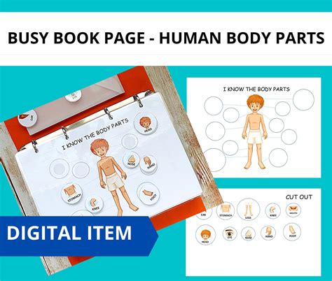Toddler Busy Book Page Body Parts Matching Toddler Learning Etsy