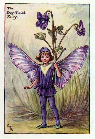 The Spring Flower Fairy The Dog Violet Fairy By Cicely Mary Barker