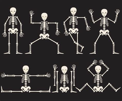 Cartoon Skeletons Vector Art And Graphics