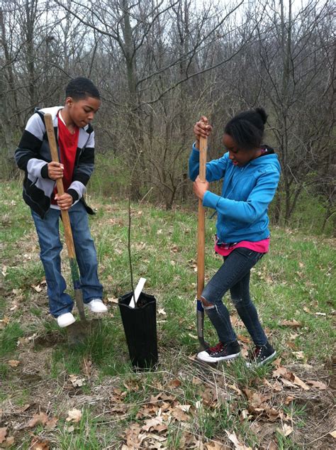Our Land Kids Digging Tree Fund