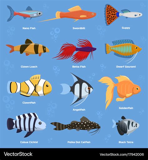 Aquarium And Ocean Fish Breeds Underwater Bowl Vector Image