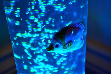 More than 176 bubble fish lamp at pleasant prices up to 17 usd fast and free worldwide shipping! Bubble lamp with fish - fantastic look for any home ...