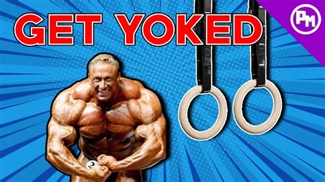Get Yoked At Home No Weights Needed Youtube