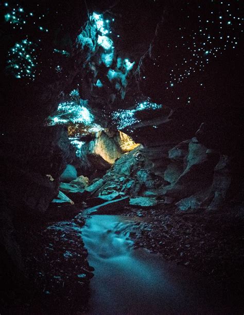 Thousands Of Glow Worms Turn Cave Luminous Blue To Attract Prey