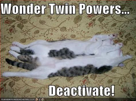 10 Funniest Wonder Twins Powers Activate Memes That Make Us Laugh