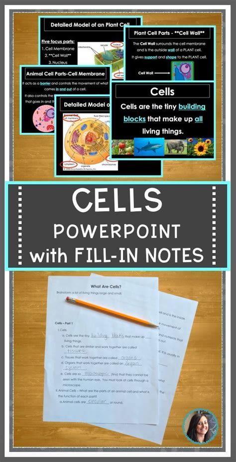 This question often touches blank cells in excel tables. Cells Powerpoint and Fill-In Notes | Plant, animal cells ...