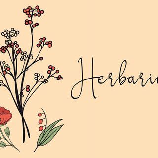 Botanical specimen art free printable herbarium vorlage discover ideas about herbarium vorlage. Herbarium Deckblatt in 2020 | Deckblatt, Deckblatt schule, Herbarium vorlage
