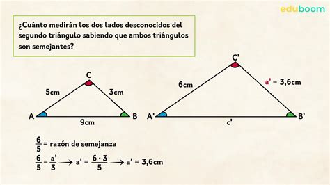 Triángulos Semejantes Criterios De Semejanza Matemáticas 4º De Secundaria