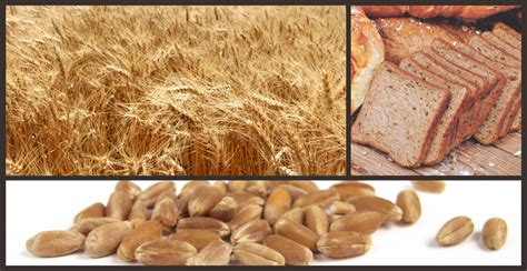 Defining Us Wheats Comparative Advantage Hard Red Winter
