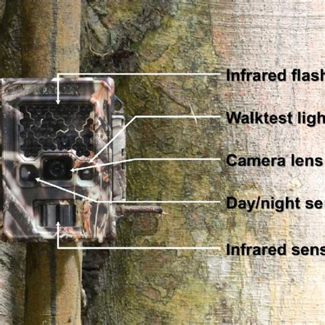 Most motion sensors today are wireless, and electronic or digital. How a passive infrared sensor works. The detection zone of ...