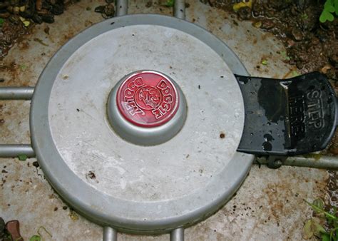Waste is put into the hole. Eco-Friendly Options for Dog Waste Containment — Simple ...