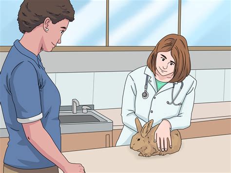 how to determine the sex of a rabbit 10 steps with pictures wiki how to english