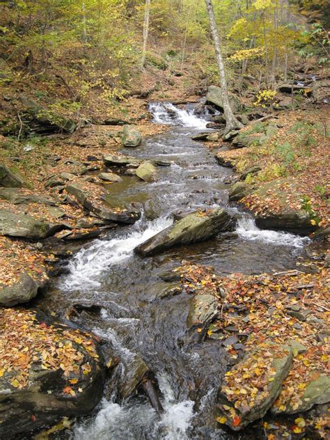 Ricketts Glen State Park Pennsylvania Ricketts Glen Stat Flickr