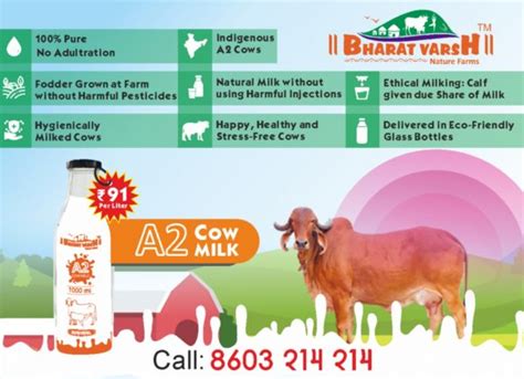 A2 Gir Cow Milk A2 Milk In Nagpur Bharatvarsh Nature Farms