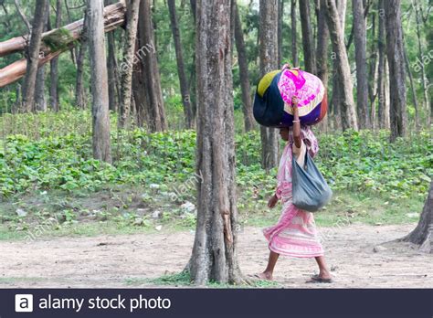 a tribal woman carry belongings on head going to check her name on final list of national