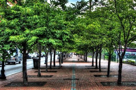 Arredo urbano griglie per alberi londra 1800×1800. Codice Vertigo: Gli alberi in città fanno bene ai polmoni