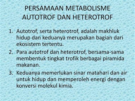 Perbedaan Autotrof Dan Heterotrof Sinau