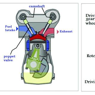 · in the diagram below you can see what you have to check. (a) Coates Overhead Spherical Valve Engine; (b) Overhead ...