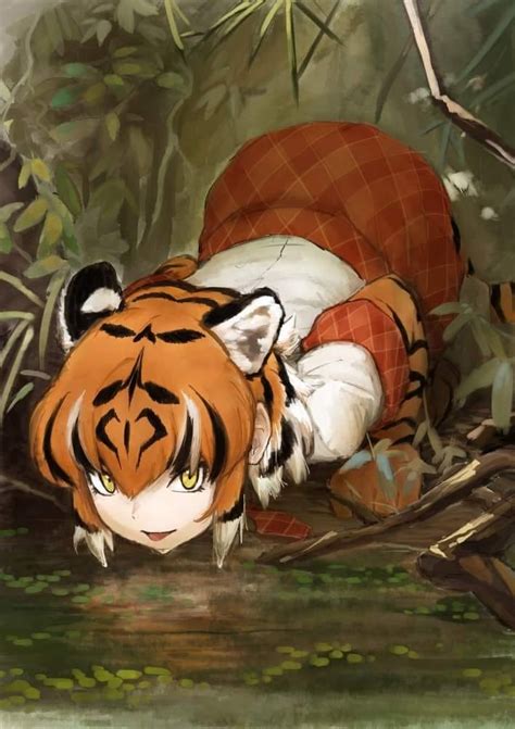 The Cute Tiger Chan Monster Girls Alert