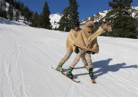 Camels Can Ski 11 Funny Skiers And Epic Fails