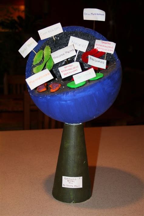 Maybe you would like to learn more about one of these? cell model made out of styrofoam ball | Animal Cell ...
