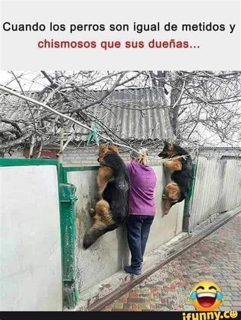 Chismosos Memes Best Collection Of Funny Chismosos Pictures On IFunny