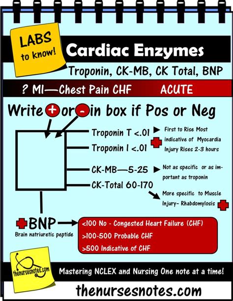 Cardiac Enzymes Fishbone Cheat Sheet Mnemonic Nursing Babe This Is A Sheet From My Acuute