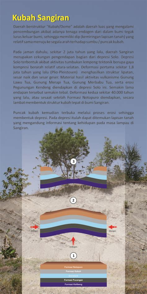 Depresi adalah sebuah penyakit yang sering dianggap remeh. Kubah Sangiran adalah daerah luas yang mengalami pencembungan