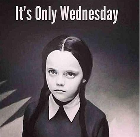 50 Kickass Funny Wednesday Memes To Make Hump Day Better Funny