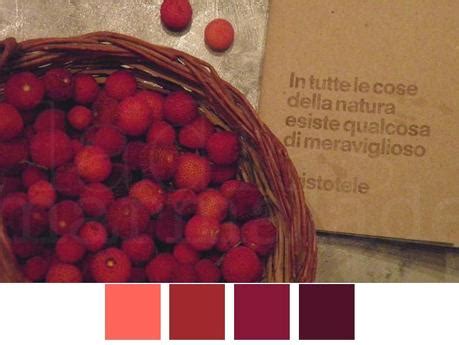 We did not find results for: Torta d'autunno: di mele e fichi d'india in crumble ...