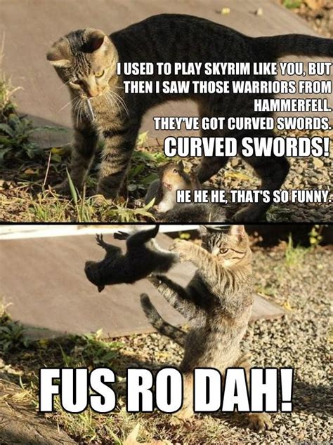 Check spelling or type a new query. Skyrim meme - Google Search | Funny pictures