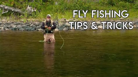 Fly Fishing Tips And Tricks Carp Anglers Dream