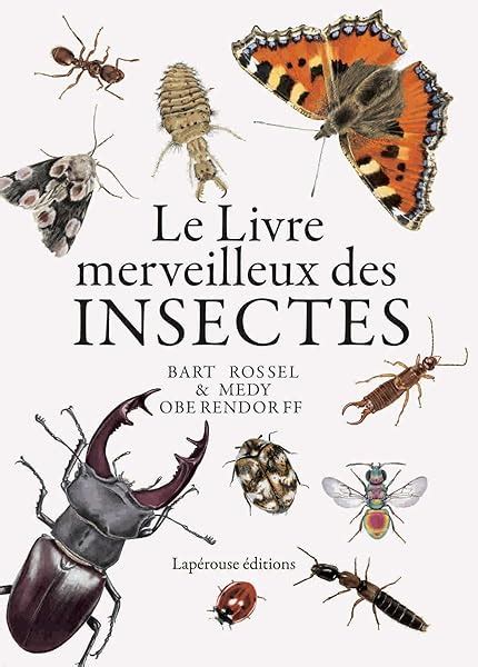 Le Livre Merveilleux Des Insectes Bibliopolis