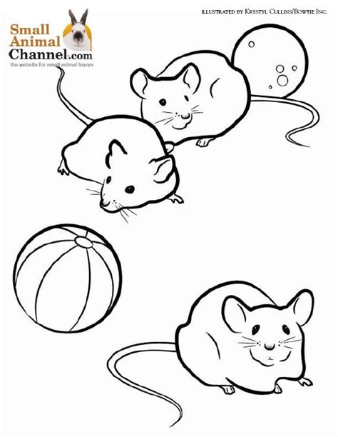 Choose any free printable coloring page among hundreds of cute farm and wild animals, rainforest animals, sea and. Pin by Casey Chipka on Coloring Pages for Kids | Animal coloring pages, Small pets, Dog coloring ...