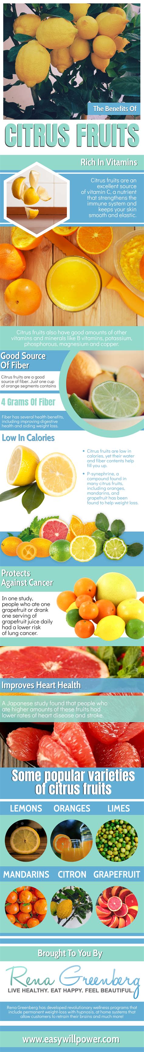 22 Useful Infographics About Citrus Fruits