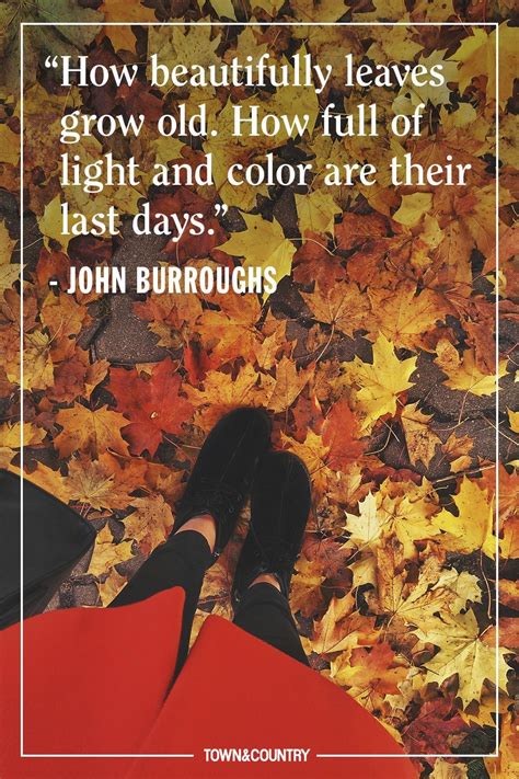 These Autumnal Quotes Will Put You In The Mood For Fall Autumn Quotes