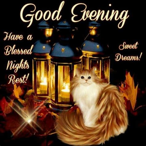 And an imprimatur from patrick j. Good Evening, Have A Blessed Nights Rest! Pictures, Photos ...