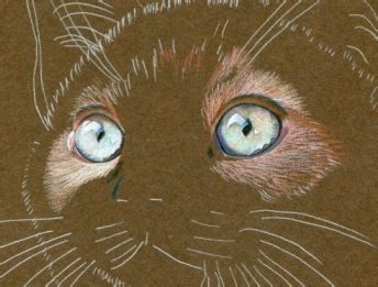 How to draw a cute cartoon cat. Quirky Realistic Drawings by Karen Hull: A Gallery of Cute ...