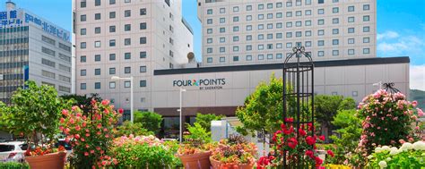 Hotel Amenities And Contact Information Four Points By Sheraton Hakodate